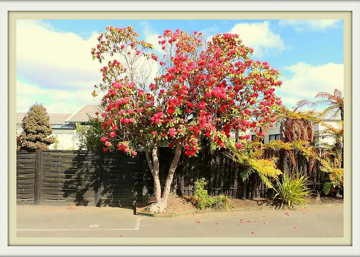 Victoria Motel Rotorua